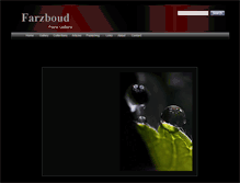 Tablet Screenshot of farzboud.com